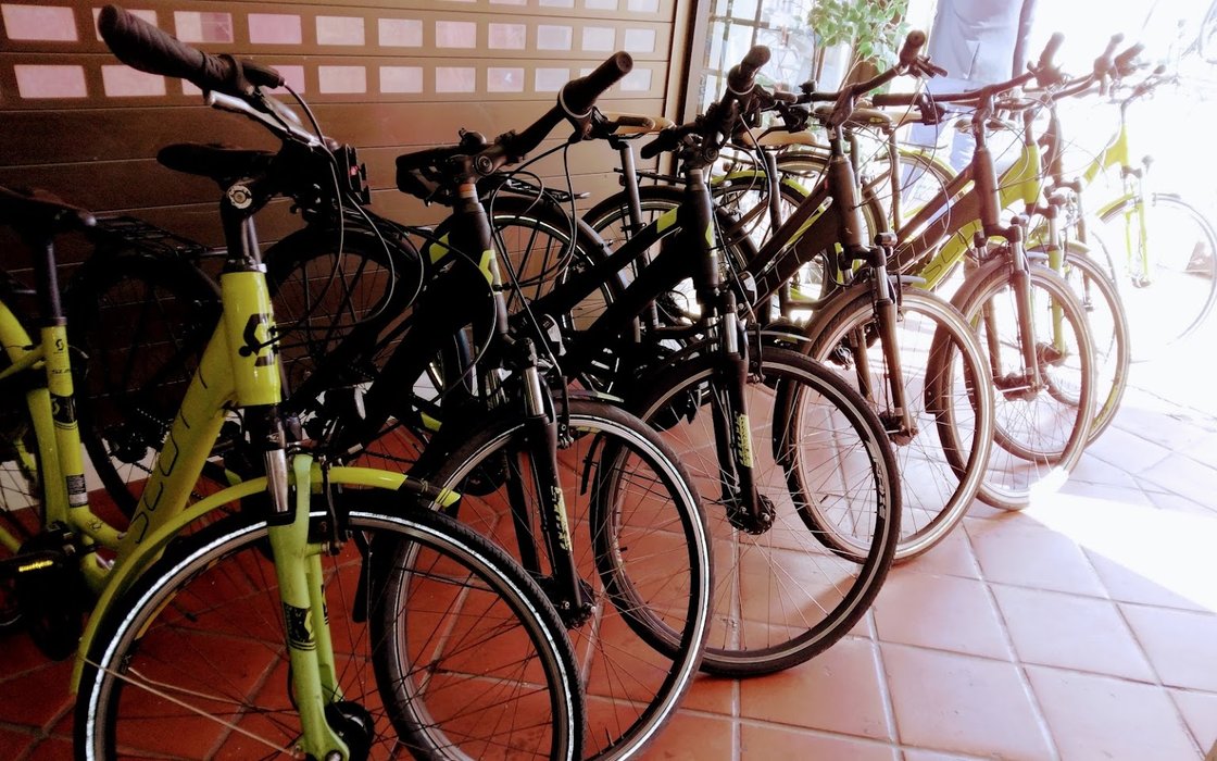 gloria mariposa La base de datos Rent a bike Puerto del Carmen Lanzarote – Leisure in Canary Islands,  reviews, prices – Nicelocal