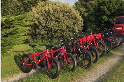 Wild-Ride - Alquiler de Bicicletas Fat Bike y Reparación de Bicicletas